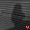 bashayer5762