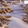 timur_han55