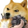 vyvy7531