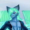 dshadowtails