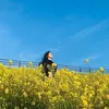 Hà mê review