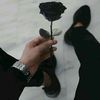 .yassen532