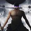 zoro70551