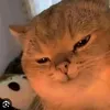 hi.lego1