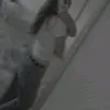 enya_8008