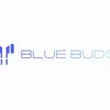 bluebudds