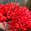 roza3838384