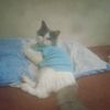 user7384578251058