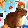 capybara20253