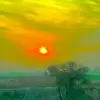 mohrisharif1