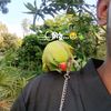 your..rezvi
