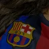 hiba4043