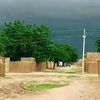 al_shokrya22