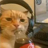 just.watching.tik455