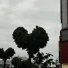 maihavu9