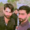 787hashir