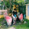linlat.htoo2