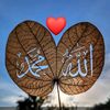 user164314345