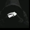 .31337817
