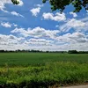 tacofin_143