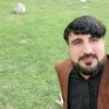 sherzad.afghan03