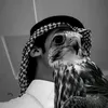 t..555.n