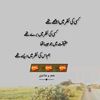 eyesha4457