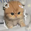 trtiendatctee
