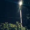monomana_