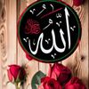 amjad.ali5925