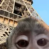 reireireireilover