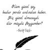 amed_21_boti