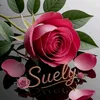 suely.duarte.arau