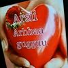 hikimaa.arsll
