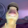 arber.arber124
