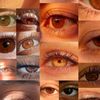 farah.lamouchi3