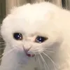 thanhaweo0l