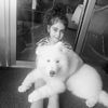 abboud.abboud413