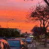 sandrita.fau