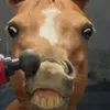 potato.queen6