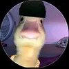 duck88226