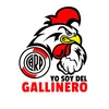 soydelgallinerook