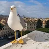 ciao_angelo