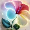 .sofi820