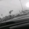 lindalopez29275