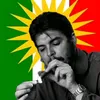 kurdo_379