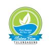 naturefarmtulungagung