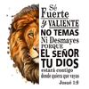 moiss.isaas8