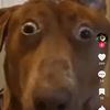 lookatpfp.itzrandy