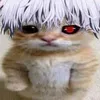 frostkittenyt